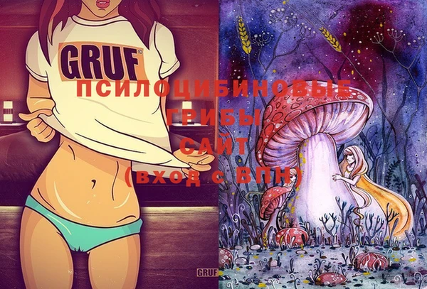 дурь Весьегонск