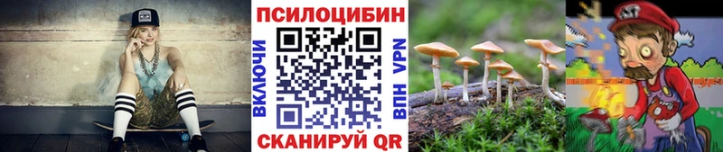 Купить закладки  Гусь-Хрустальный  Галлюциногенные грибы мицелий 